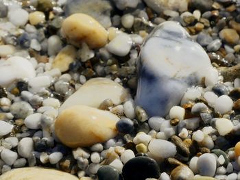 Full frame shot of pebbles on beach