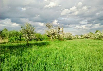 Scenic view of grassy field against cloudy sky