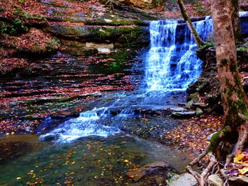 View of waterfall in forest