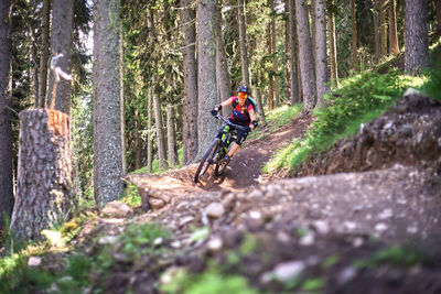 Man riding bicycle in forest