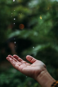 Close-up of person hand on wet leaf