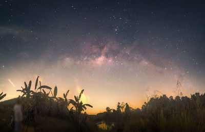 star