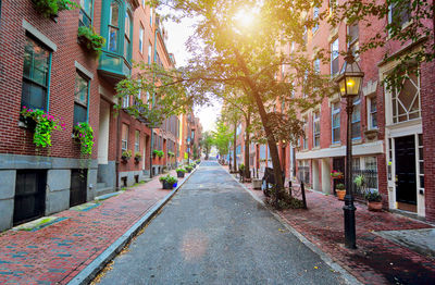 Empty alley amidst houses and trees in city