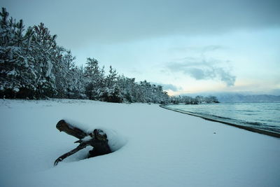 cold temperature