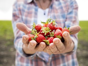 Midsection of woman holding strawberries