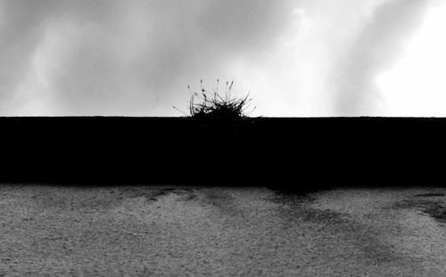 Silhouette tree against sky
