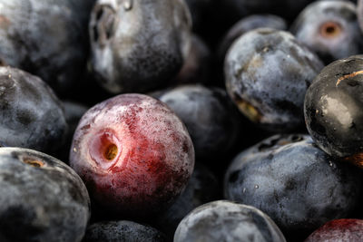 Close-up of fruits for sale in market