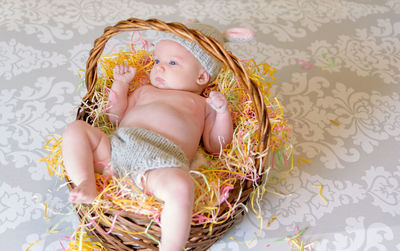 High angle view of baby in decorated basket at home during easter