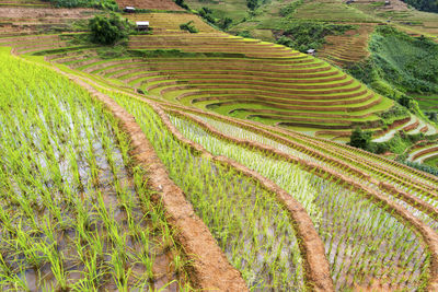 View of rural landscape