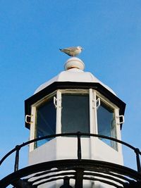 Low angle view of bird perching on statue against clear blue sky