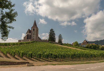 Saint-jacques-le-majeur church in hunawihr, alsace, france