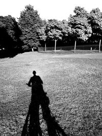 Shadow of person on tree trunk