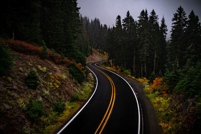 Road amidst trees in forest against sky