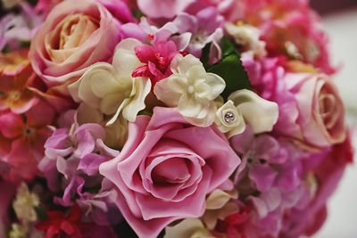 Close-up of pink roses