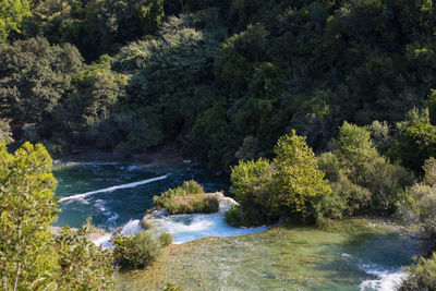 High angle view of river amidst trees in forest