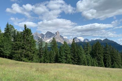 Panoramic view of pine trees and mountains against sky