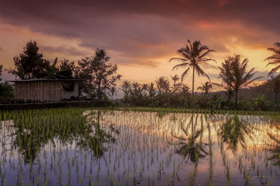 Scenic view of lake against sky during sunset