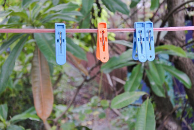 Close-up of clothespins hanging on clothesline