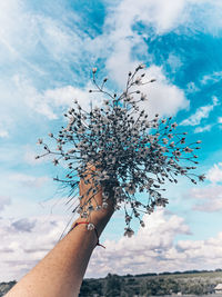 Midsection of person holding plant against sky