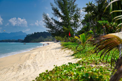 Scenic view of beach against sky