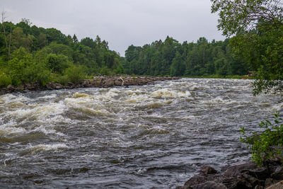 Scenic view of river flowing in forest against sky