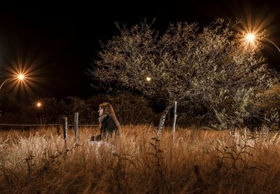 Woman sitting on grassy field at night