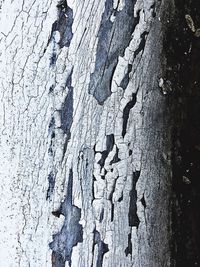 Full frame shot of wood