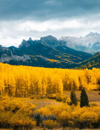 Scenic view of landscape against sky