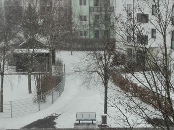 Bare trees by building in city