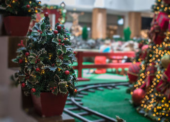 Close-up of potted plant on christmas tree