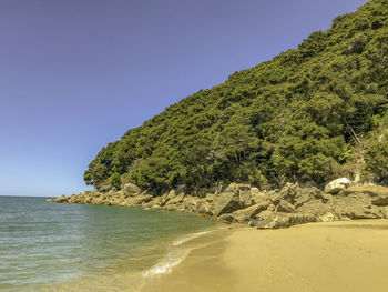 Scenic view of sea against clear sky