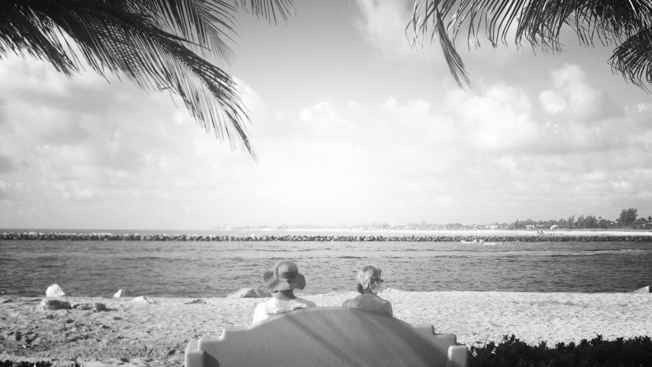 sky, water, sea, cloud - sky, tree, cloud, horizon over water, beach, cloudy, scenics, nature, tranquil scene, tranquility, palm tree, relaxation, animal themes, beauty in nature, nautical vessel, shore