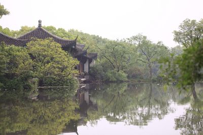 Reflection of trees in lake