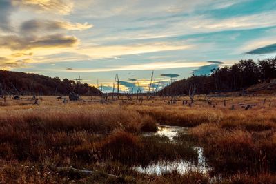 Scenic view of field against sky during sunset