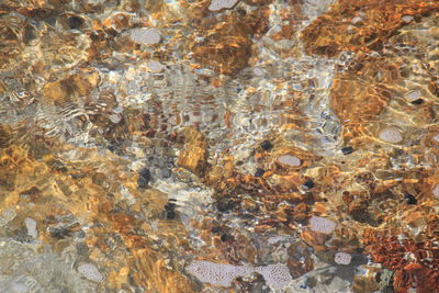 Full frame shot of rocks in water