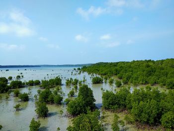 Scenic view of sea against sky
