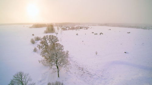 Scenic view of tree against sky during winter