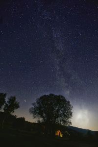 Silhouette trees on mountain against star field at night