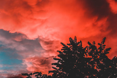 Silhouette tree against orange sky