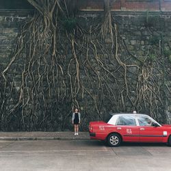 Cars parked on road