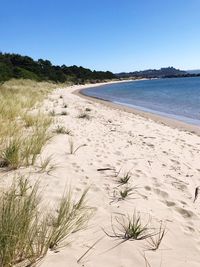 Scenic view of beach against clear sky