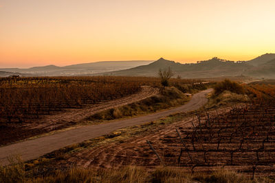 Dirt road amidst field against sky during sunset