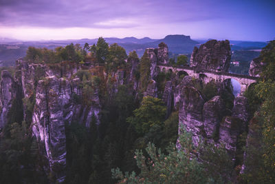 Panoramic view of trees and rocks