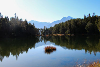 Scenic view of lake by trees against clear sky