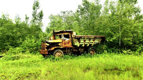 Tractor on field against trees