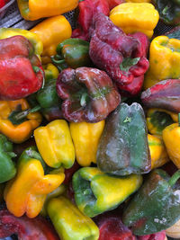 Full frame shot of multi colored bell peppers