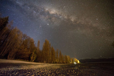 Amazing milky way view over lake wanaka and willow tree.that wanaka tree.