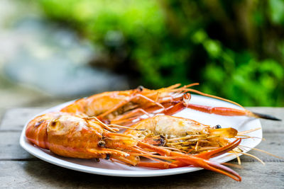 Close-up of orange slice in plate on table