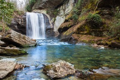 Scenic view of waterfall in forest