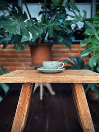 Close-up of potted plant on table